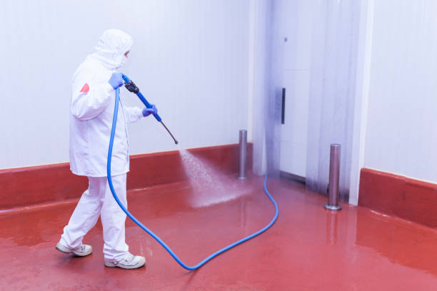 Trusted Palmdale, CA Pressure Washing Services Experts