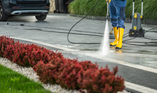 Best Building Exterior Washing  in Palmdale, CA